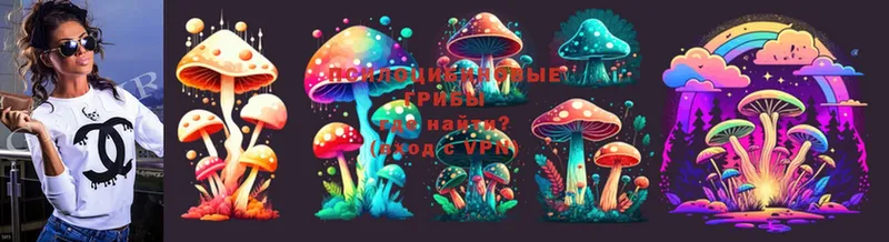 Галлюциногенные грибы Magic Shrooms  магазин продажи наркотиков  Стрежевой 